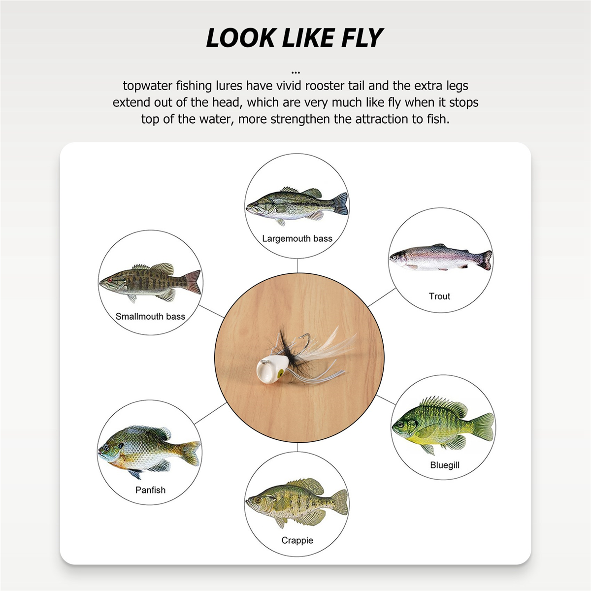 10PCS Fly Fishing Poppers,Topw - Fishing Lure Topwater 评论和价格